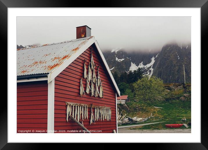 Fishing village in norway, with cod drying Framed Mounted Print by Joaquin Corbalan