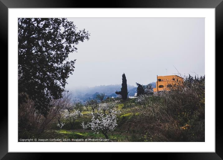Beautiful landscape with fog an autumn in the mountains of the Alpujarra Granada, Spain. Framed Mounted Print by Joaquin Corbalan
