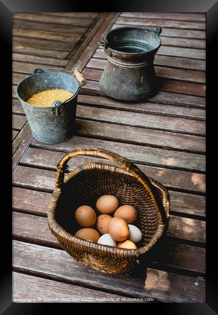 Eggs in wicker basket with corn as food for hens. Framed Print by Joaquin Corbalan