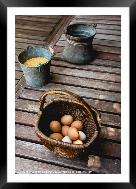 Eggs in wicker basket with corn as food for hens. Framed Mounted Print by Joaquin Corbalan