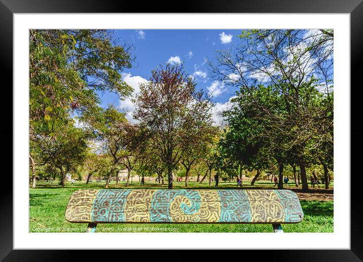 Wooden bench to rest decorated with a beautiful design of labyrinthine lines in a public garden. Framed Mounted Print by Joaquin Corbalan