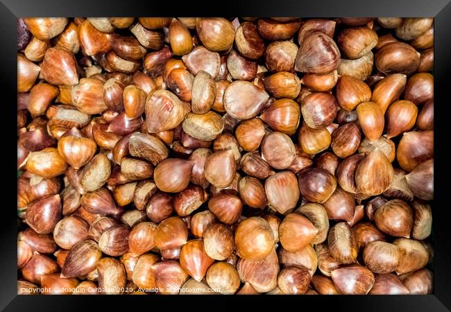 Piles of fresh unpeeled raw chestnuts. Framed Print by Joaquin Corbalan