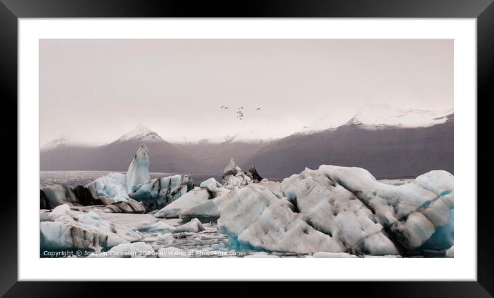 Large icebergs detached from the tongue of a glacier reaching the coast, in Iceland, paradise for adventurers. Framed Mounted Print by Joaquin Corbalan