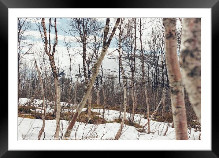 Depressing lonely and cold winter landscape Framed Mounted Print by Joaquin Corbalan