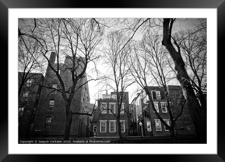Streets of the city in winter Framed Mounted Print by Joaquin Corbalan