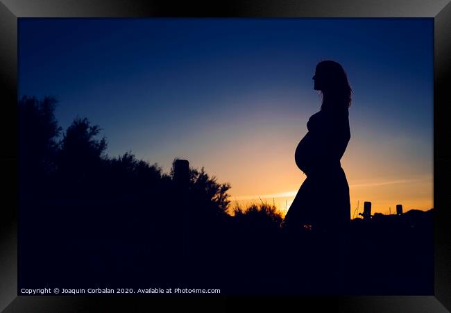 Silhouette of pregnant woman at sunset with solid color background. Framed Print by Joaquin Corbalan