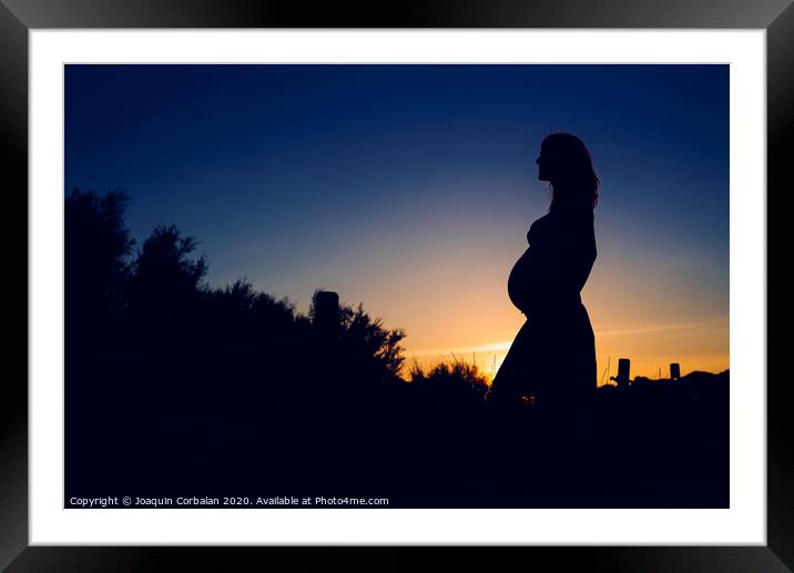 Silhouette of pregnant woman at sunset with solid color background. Framed Mounted Print by Joaquin Corbalan