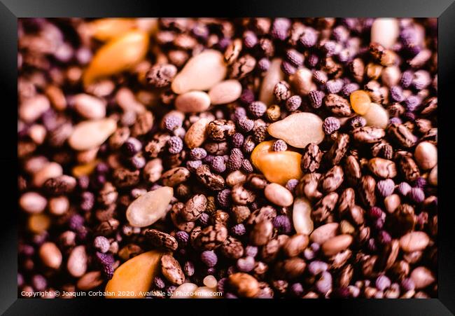 closeup Small seeds superfoods, chia, golden flax and sesame Framed Print by Joaquin Corbalan