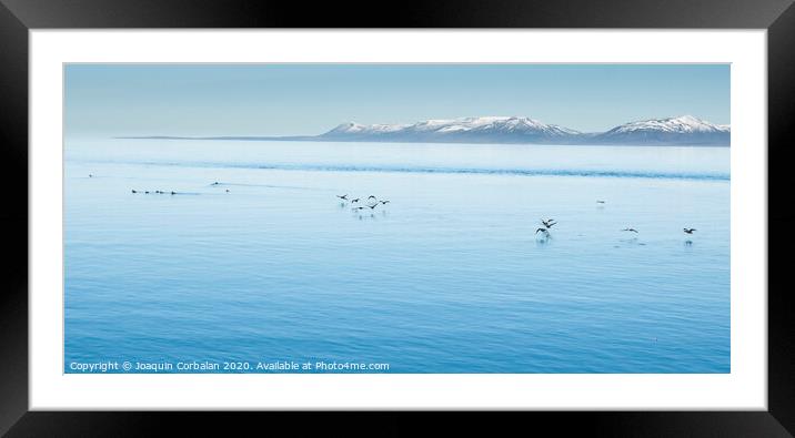 Icelandic landscapes full of green grass, sea and blue sky. Framed Mounted Print by Joaquin Corbalan