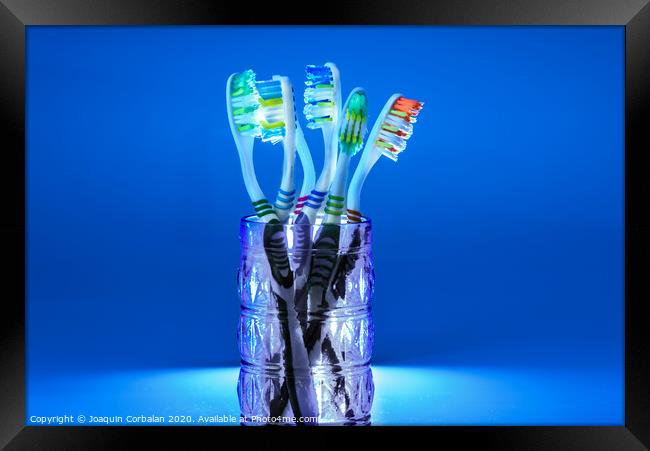 Many new plastic toothbrushes inside a glass, isolated on striking blue background, with copy space. Framed Print by Joaquin Corbalan