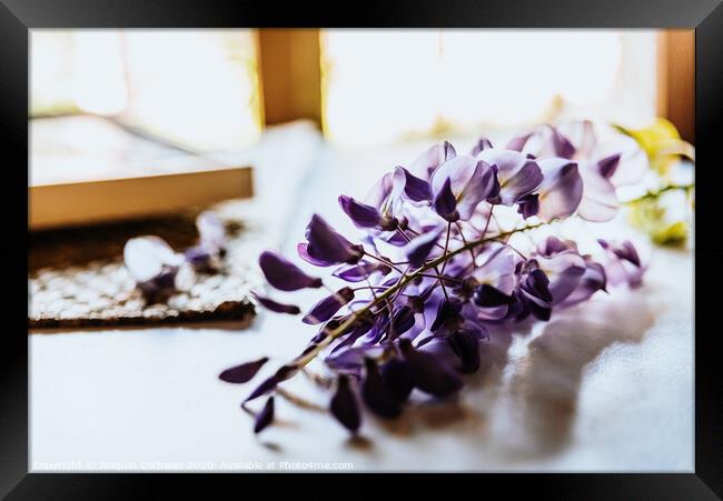 Beautiful blue and lilac spring flowers on a white table with fabrics. Framed Print by Joaquin Corbalan