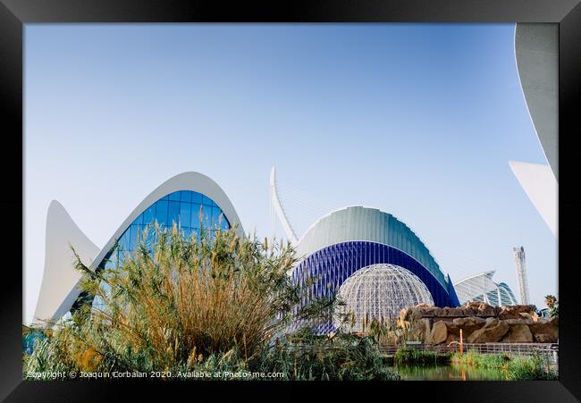 Exterior view of the oceanografic aquarium with the city in the background. Framed Print by Joaquin Corbalan