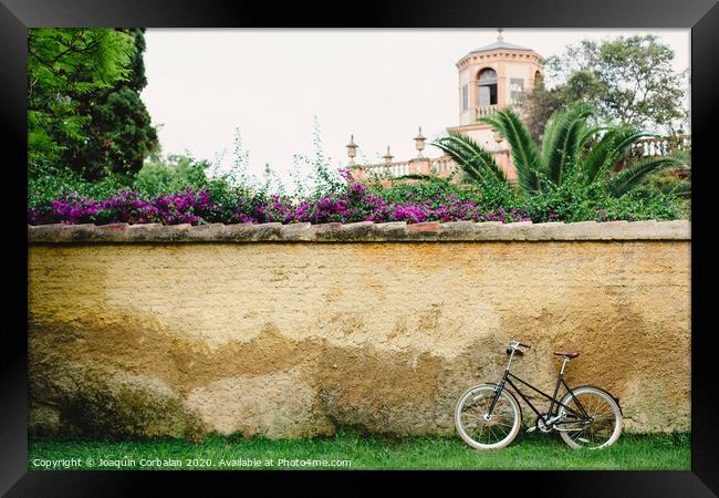 Wall or concrete wall outdoors with plants around and old bike supported and free space to place text in an empty frame Framed Print by Joaquin Corbalan
