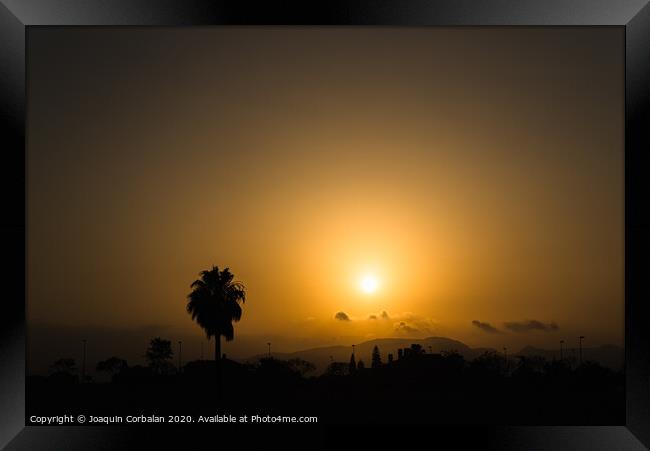 Silhouette of a desert landscape with a palm tree against the sun at sunset, dark orange background. Framed Print by Joaquin Corbalan