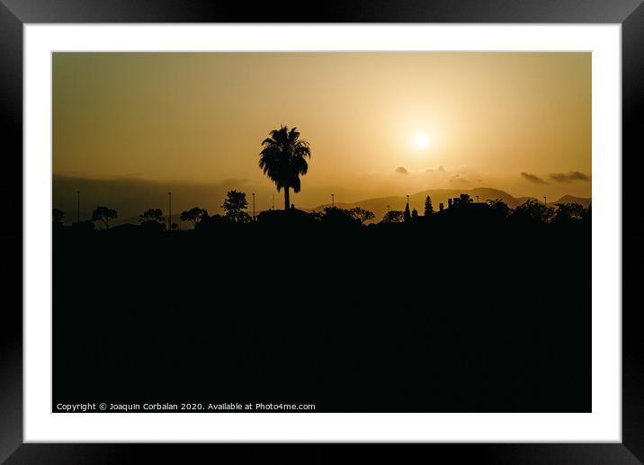 Silhouette of a city landscape deserting with a palm tree against the sun at sunset on a dark background, concept of global climate warming. Framed Mounted Print by Joaquin Corbalan