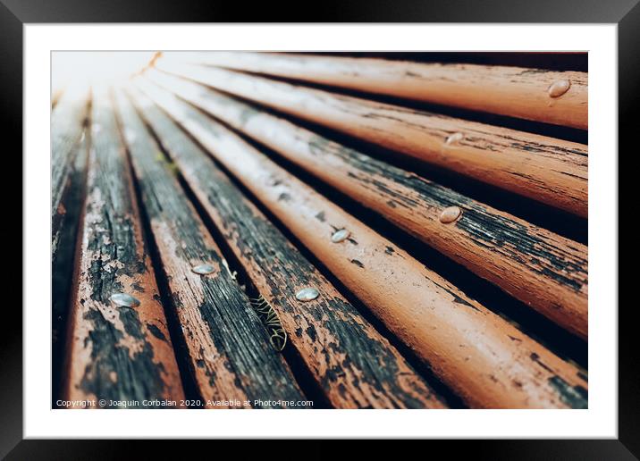 Boards of a park bench at autumn sunset, with blurred vanishing lines background. Framed Mounted Print by Joaquin Corbalan