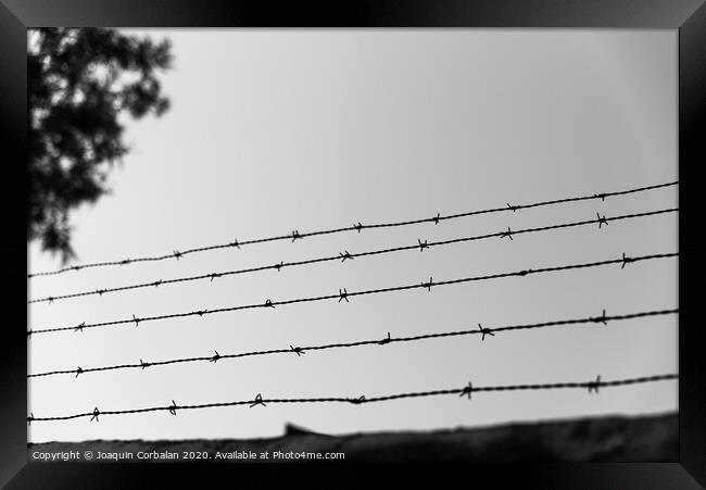 A wall with an old barbed wire line to prevent theft. Framed Print by Joaquin Corbalan
