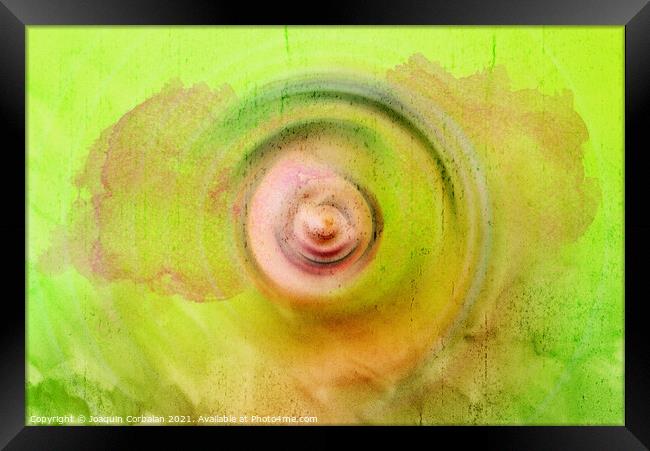 Abstract background with concentric circles flowing from the cen Framed Print by Joaquin Corbalan