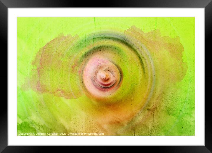 Abstract background with concentric circles flowing from the cen Framed Mounted Print by Joaquin Corbalan