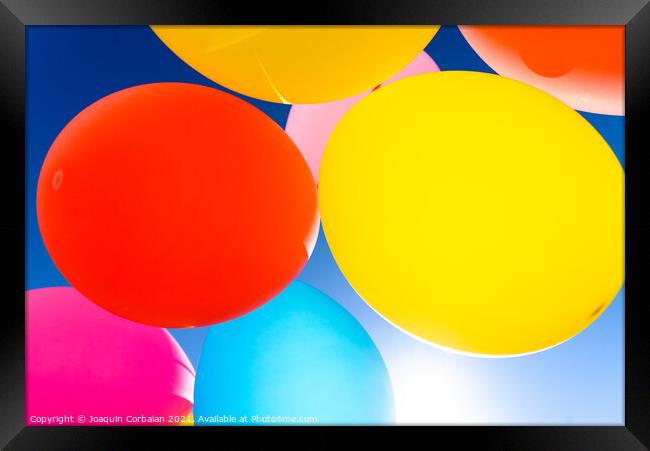 Pretty sunlit solid color balloons viewed from below with blue s Framed Print by Joaquin Corbalan