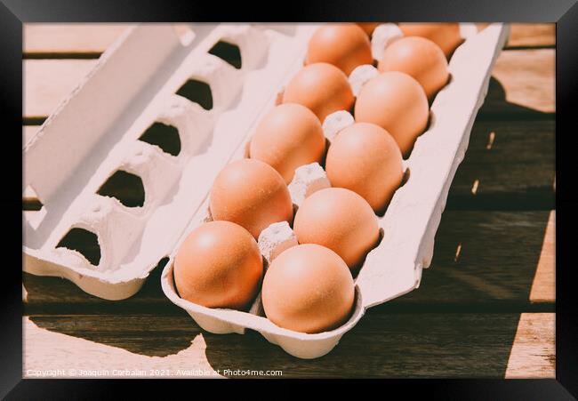 Brown eggs in a cardboard box bought from a local organic superm Framed Print by Joaquin Corbalan