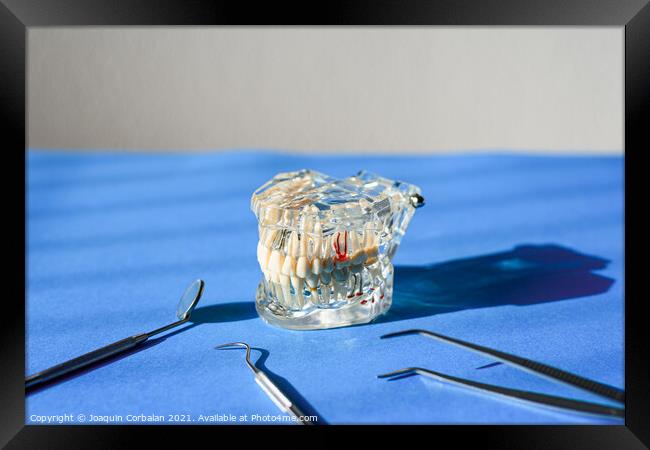 Dental tools for healing dentures, jaw isolated on a dentist doc Framed Print by Joaquin Corbalan