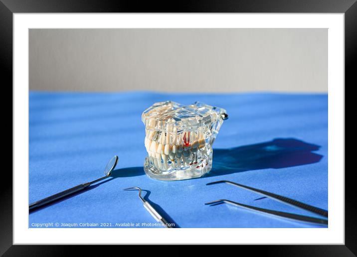 Dental tools for healing dentures, jaw isolated on a dentist doc Framed Mounted Print by Joaquin Corbalan