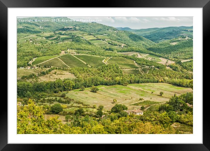 Vineyards landscapes in the morning in Albola Framed Mounted Print by eyecon 