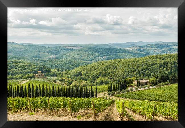 Vineyards landscapes in the morning in Albola. Framed Print by eyecon 
