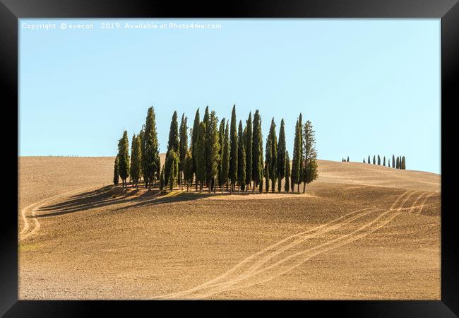 Typical landscapes for Siena Province in Tuscany,  Framed Print by eyecon 