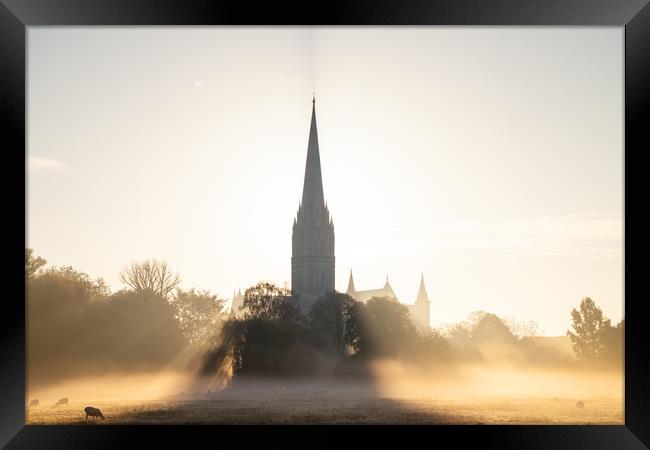 Misty morning in Salisbury Framed Print by Richard Newton