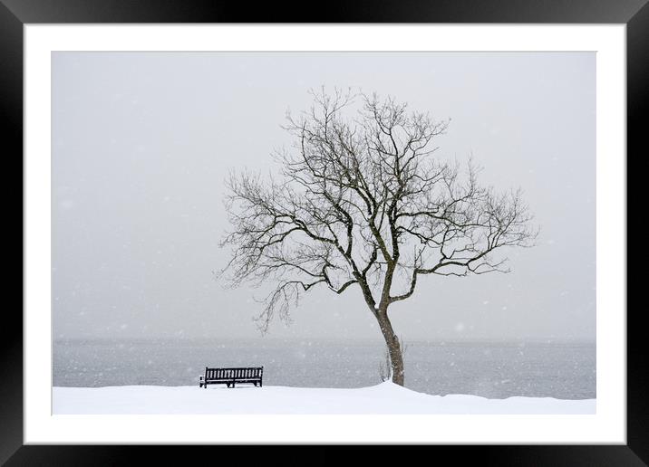 Winter tree Framed Mounted Print by Richard Newton
