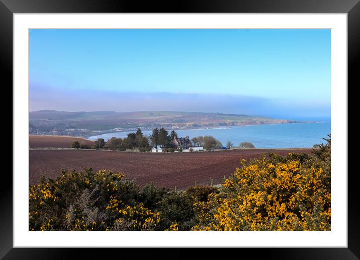 Stonehaven view from War memorial  Framed Mounted Print by Ionut Draghiciu