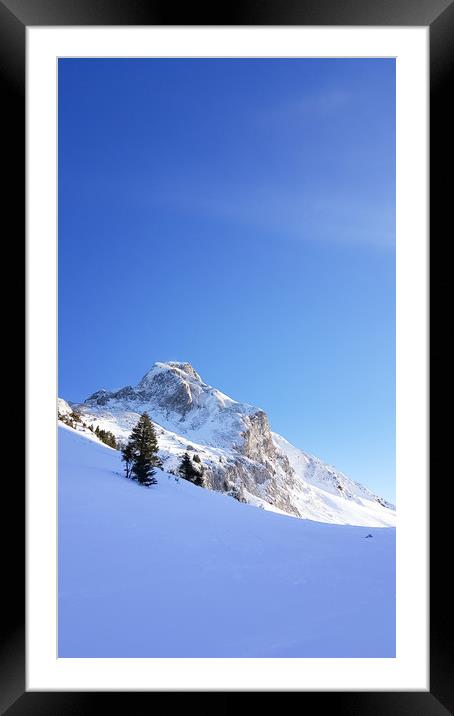 Winter Wonderland Framed Mounted Print by Mike C.S.