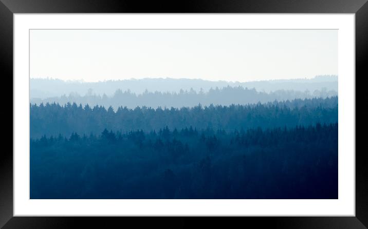 Blue Forest  Framed Mounted Print by Mike C.S.