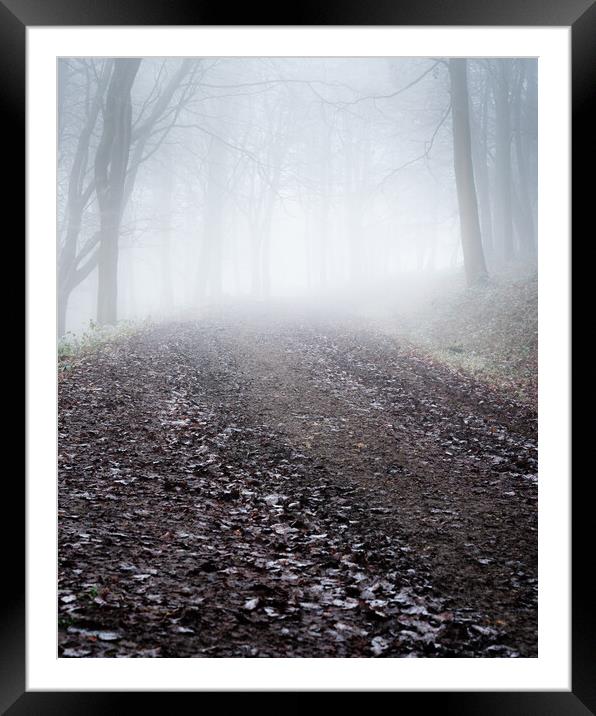 Misty Woodland path Framed Mounted Print by Lubos Fecenko