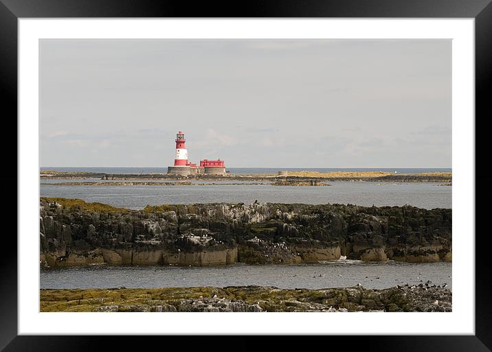 Longstone Lighthouse from Staple Island Framed Mounted Print by Simon Marshall