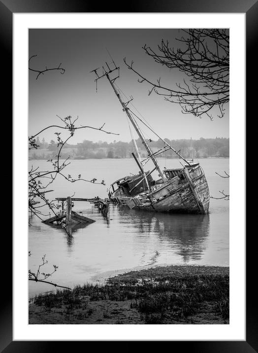 I once sailed these waters Framed Mounted Print by louise stanley