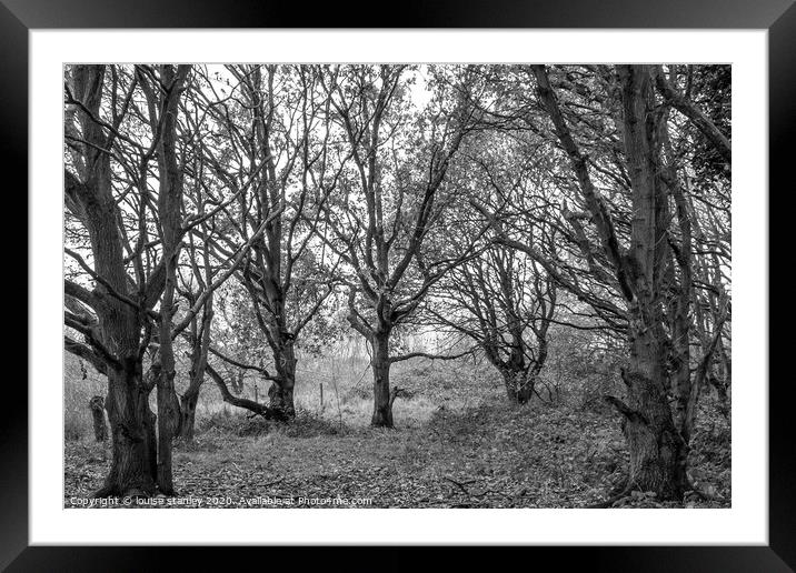 Trees leading my walk Framed Mounted Print by louise stanley
