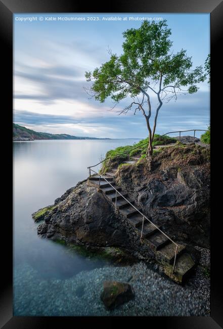 Babbacombe Lone Tree Framed Print by Katie McGuinness