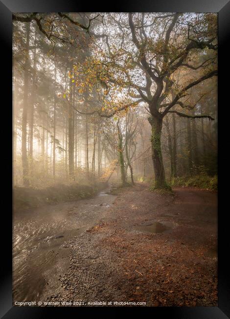 Woodland Foggy Walk Framed Print by Warren Wise