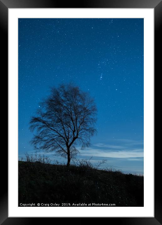 Lone Tree Under A Starry Sky Framed Mounted Print by Craig Oxley