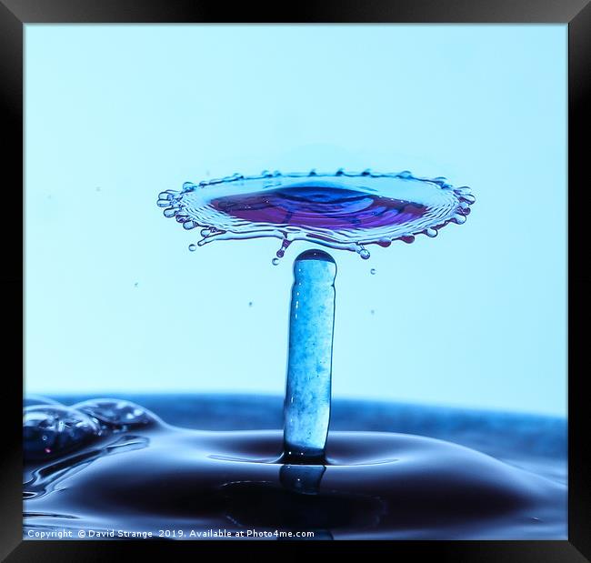 Purple waterdrop spinning top Framed Print by David Strange
