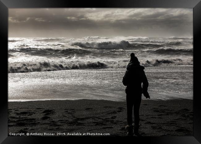 Black Sand Beach Vik Iceland Framed Print by Anthony Rosner