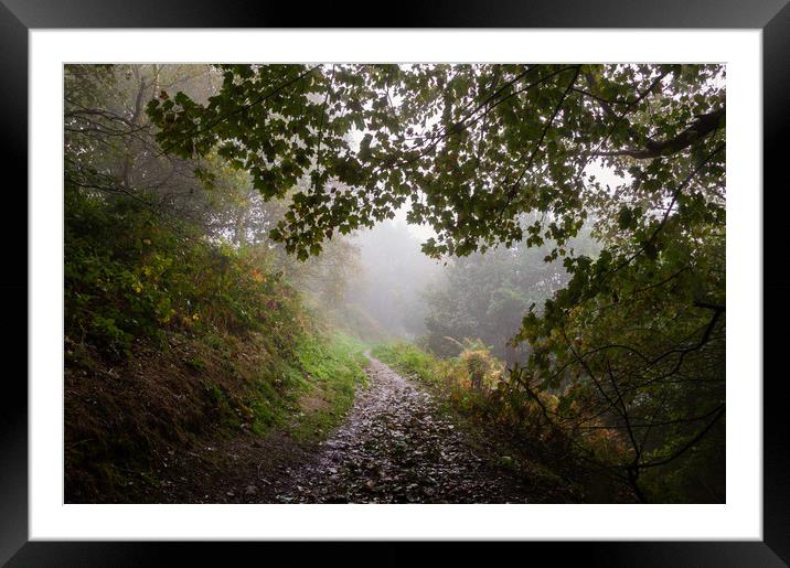 Autumn Path Framed Mounted Print by David Wall
