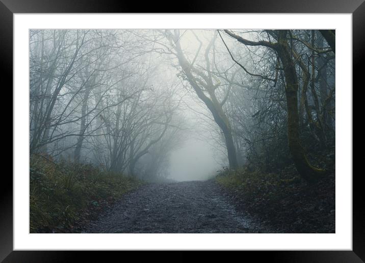 Foggy Day Framed Mounted Print by David Wall