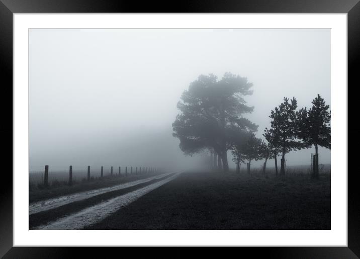 Winter fog Framed Mounted Print by David Wall
