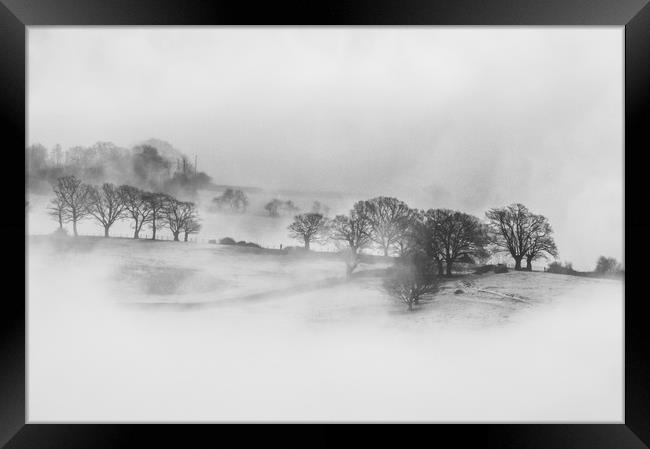 Winter mist Framed Print by David Wall
