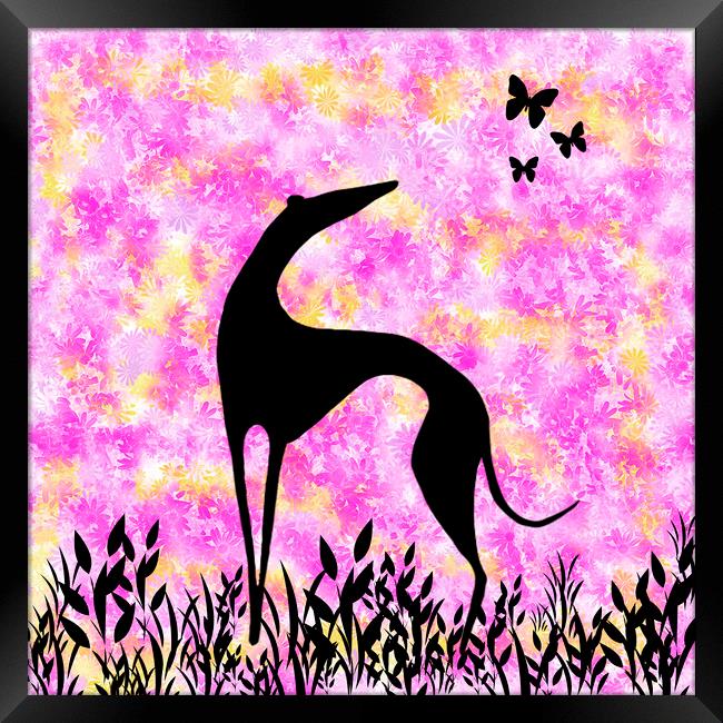 Greyhound Sighthound Silhouette Framed Print by Donna Joyce