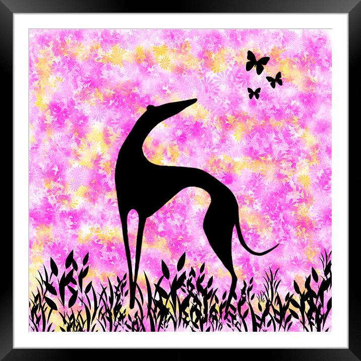 Greyhound Sighthound Silhouette Framed Mounted Print by Donna Joyce